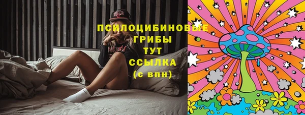 ГАЛЛЮЦИНОГЕННЫЕ ГРИБЫ Белокуриха