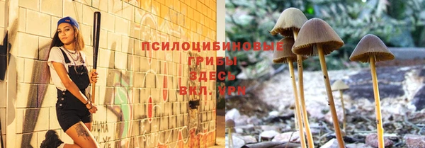 дживик Россошь