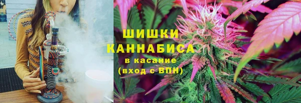 дживик Россошь