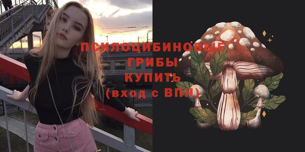 дживик Новозыбков