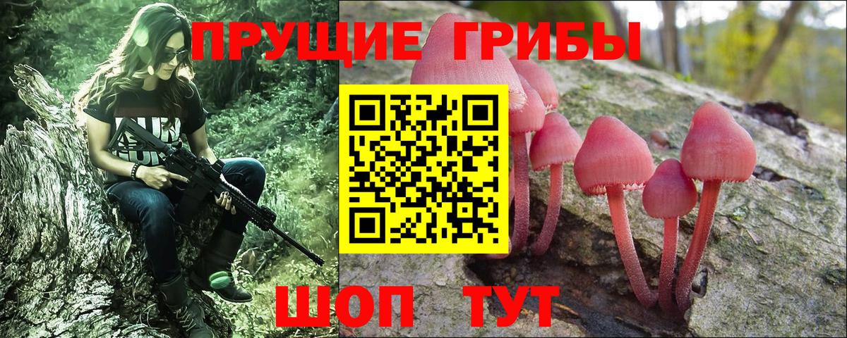 Галлюциногенные грибы Psilocybine cubensis Сокол