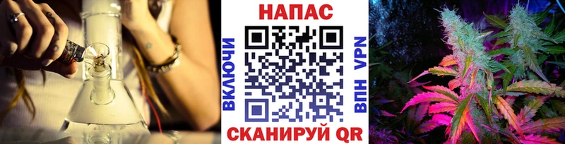 Канабис конопля  Сокол 