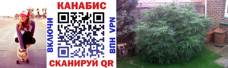 Марихуана Ganja Сокол